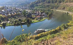 Romantisches Hirschhorn am Neckar